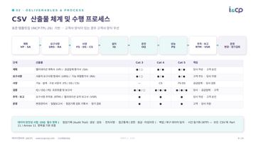 9. CSV 산출물 체계 및 수행 프로세스